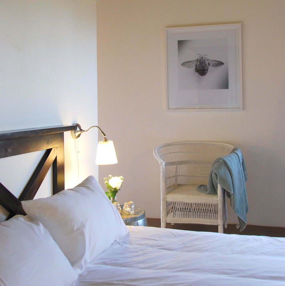 Mbizi Bush Lodge พาลาบอร์วา ภายนอก รูปภาพ